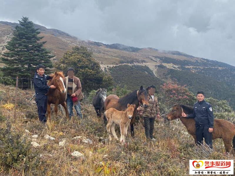 跋山涉水72小时 木里警察终为牧民寻回丢失马匹 跋山涉水72小时 木里警察终为牧民寻回丢失马匹