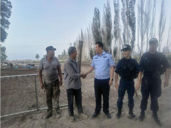 新疆和硕：民警搜寻3小时，为群众找回180只羊