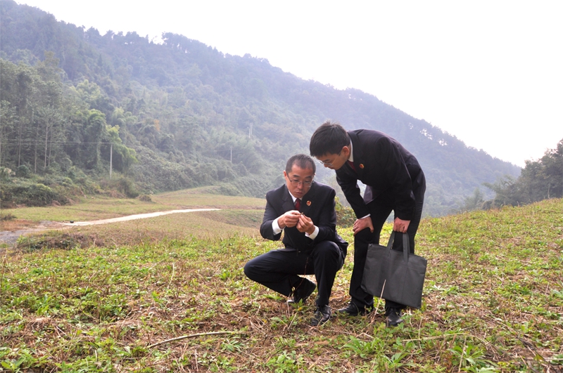 以行政公益诉讼保护农村耕地 堆了十年的“固废山”终于搬走了! 以行政公益诉讼保护农村耕地 堆了十年的“固废山”终于搬走了!